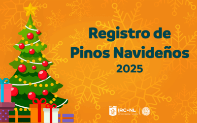 Registro de Concurso Pinos Navideños IRCNL 2025