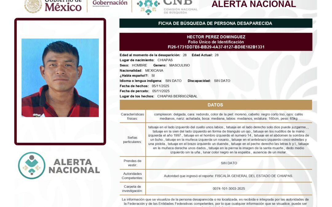 261020 HECTOR PEREZ DOMINGUEZ