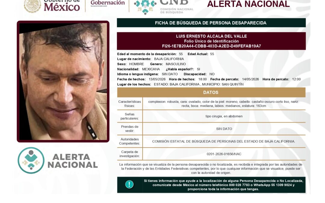 262028 LUIS ERNESTO ALCALA DEL VALLE