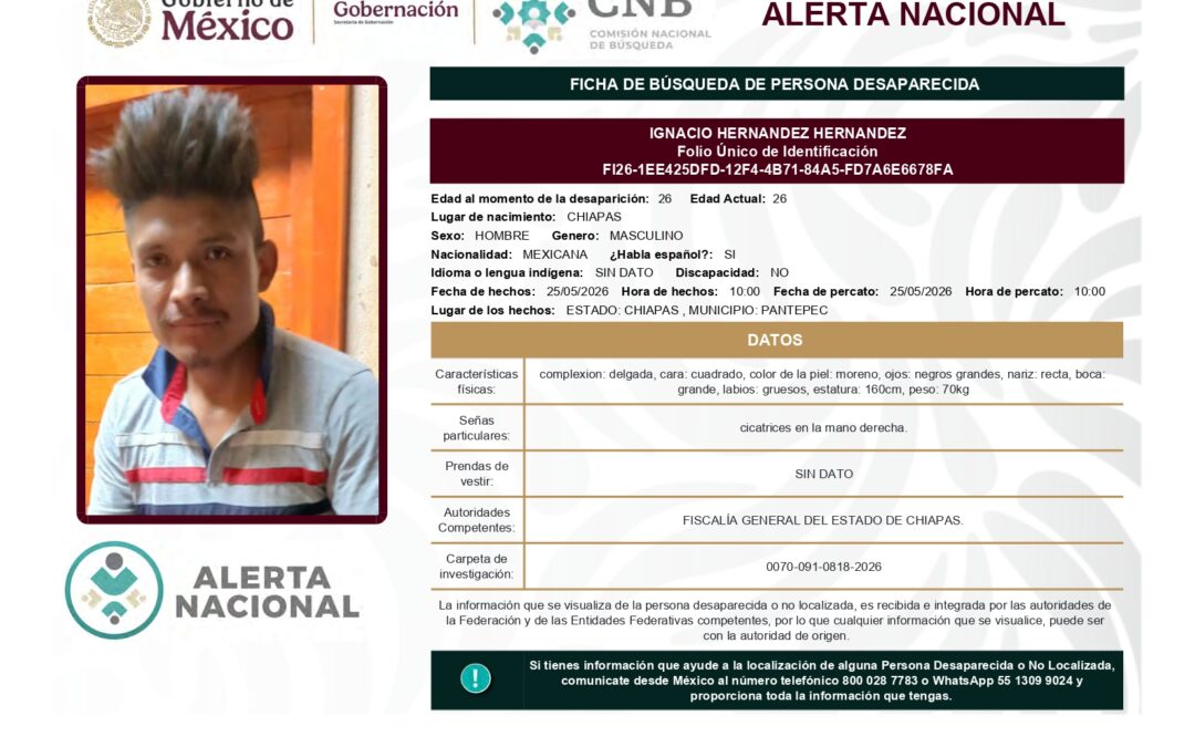 262127 IGNACIO HERNANDEZ HERNANDEZ