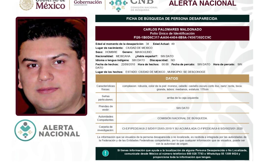 262202 CARLOS PALOMARES MALDONADO