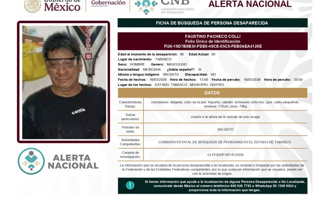 262262 FAUSTINO PACHECO COLLI