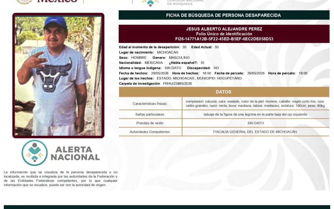 262412 JESUS ALBERTO ALEJANDRE PEREZ