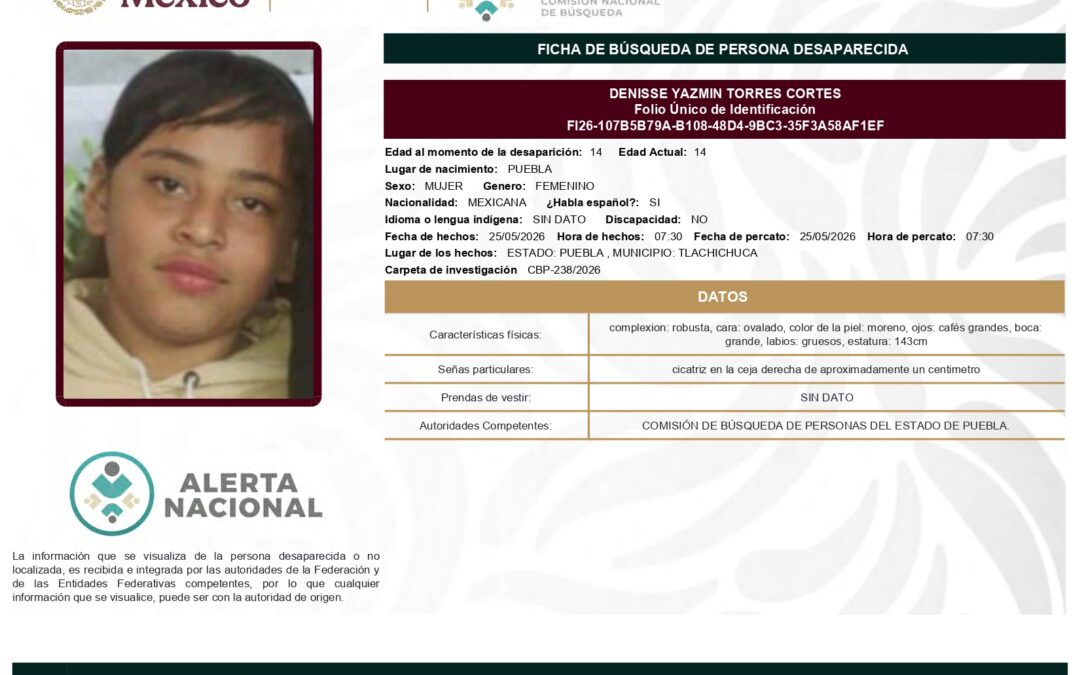 262493 DENISSE YAZMIN TORRES CORTES