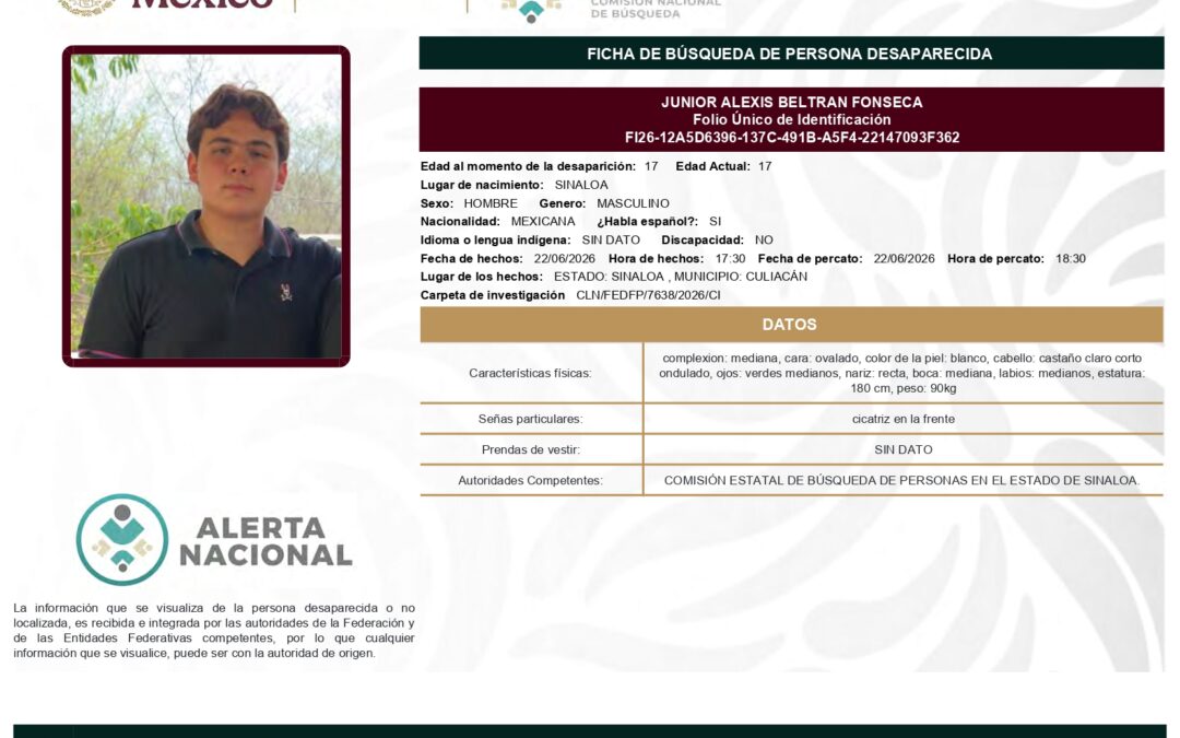 263164 JUNIOR ALEXIS BELTRAN FONSECA