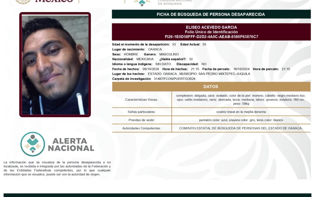 263194 ELISEO ACEVEDO GARCIA